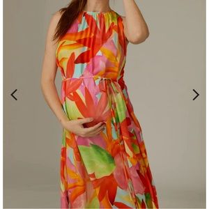 A Pea in a Pod - Pietro Brunelli Francesca Maternity Maxi Dress Caribbean Land